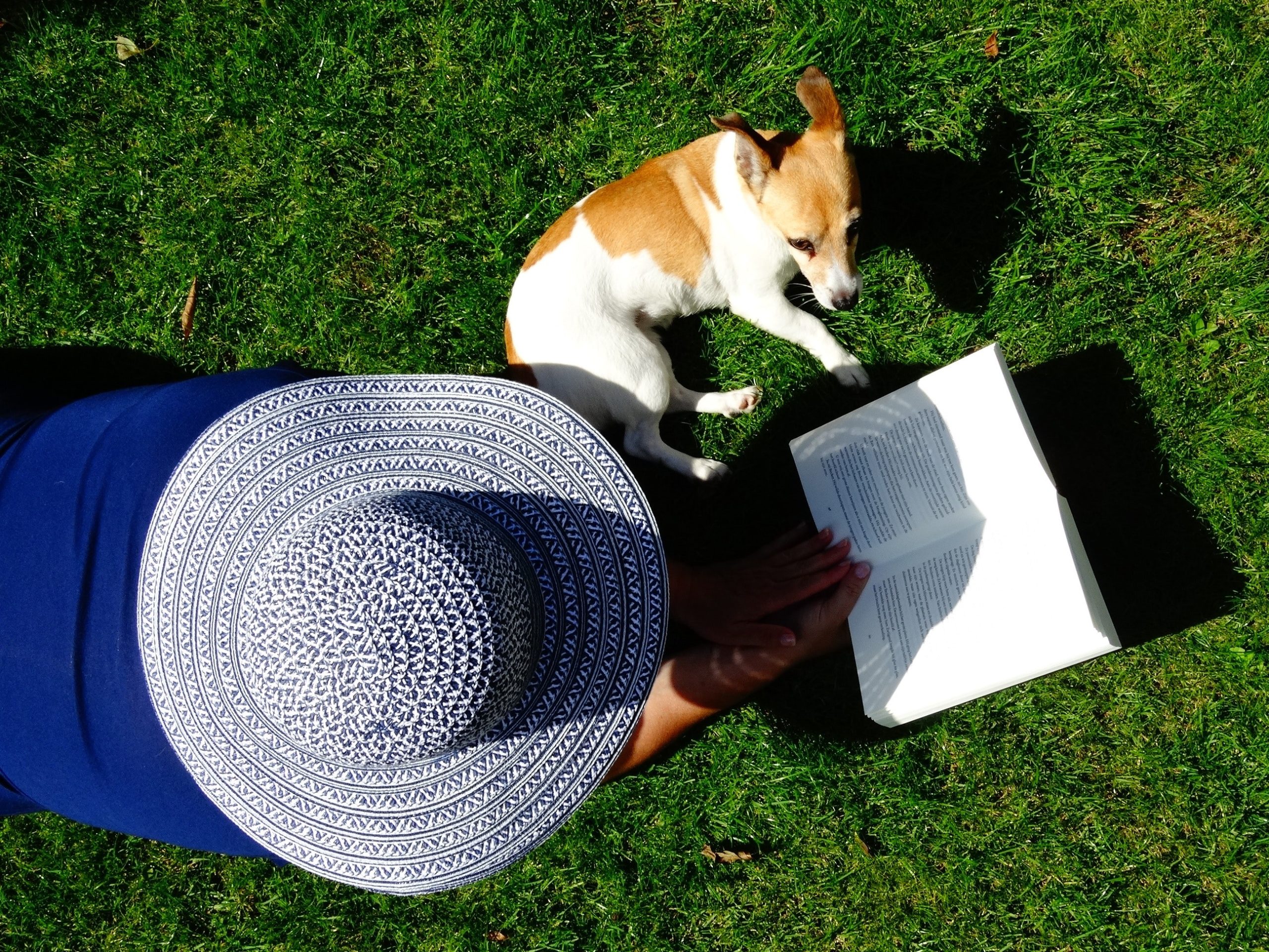 person in a sunhat reading outdoors next to a dog