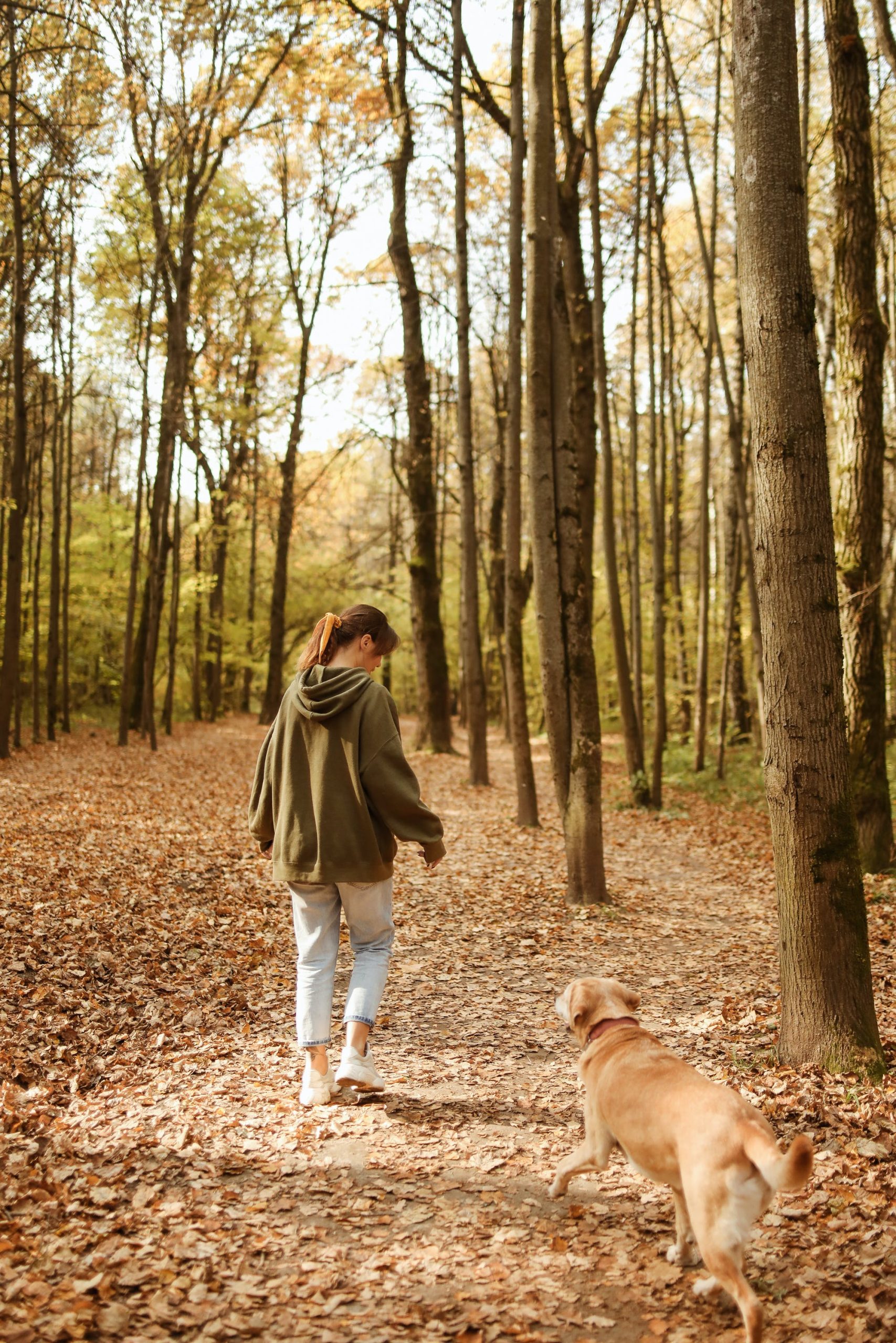 woman walking dog in the woods 